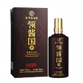 Iu53500u