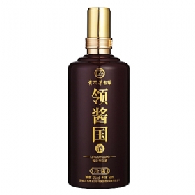 Iu53500u