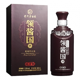 Iu53500u