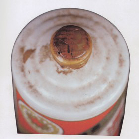 1966(ni)NɫĤ״ƿơé_