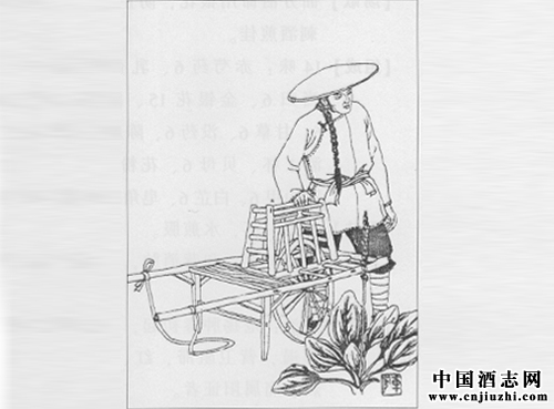 清瀉肝膽劑:龍膽瀉肝湯