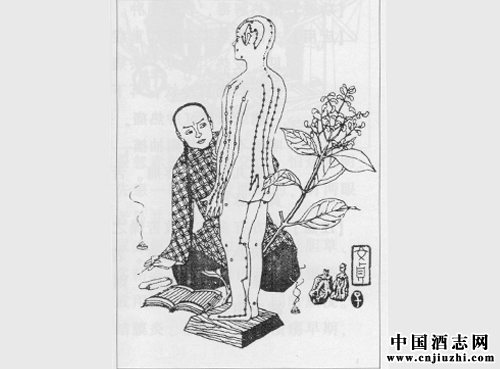 滋陰養血劑:二至丸