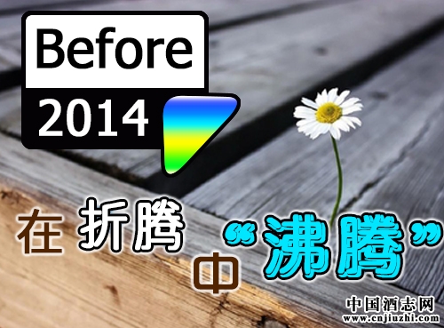 ٻף2014vСv