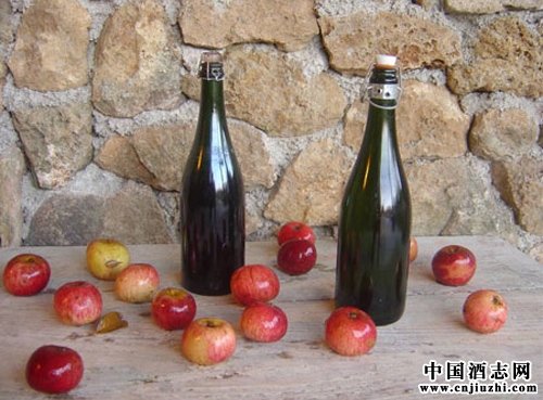 什么稱之為諾曼底蘋果酒