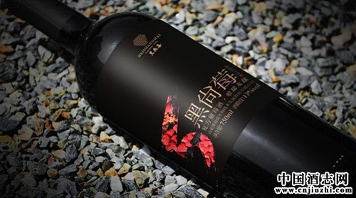 DSW“中國樹莓酒”專場品鑒會即將舉辦