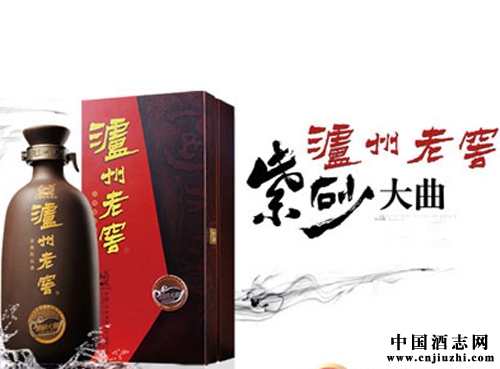 瀘州老窖大曲酒查定總結(jié)
