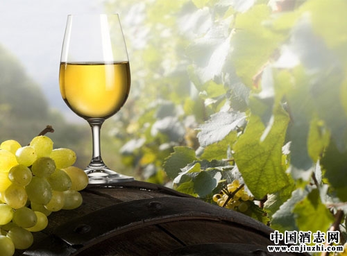 葡萄酒中干紅和干白分別代表什么意思?