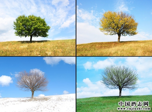 根據(jù)季節(jié)來(lái)喝葡萄酒
