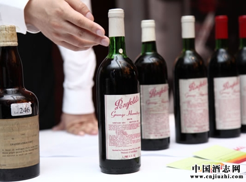 奔富酒廠的創(chuàng)立歷史