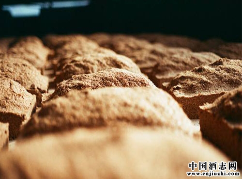 白酒釀造基本理論:原料浸潤中的物質(zhì)變化