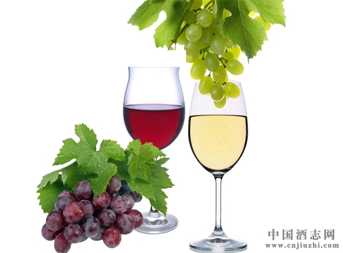 釀酒師:“關(guān)于葡萄酒應(yīng)當(dāng)有自己的見解”