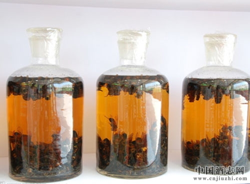品酒養生:蔥姜蒜泡酒好處多,可治腰痛