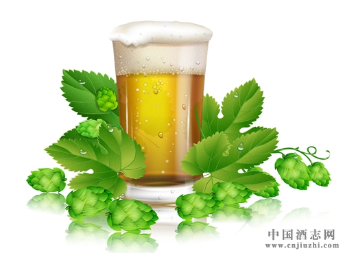 ơƻơ֮gʲôϵ