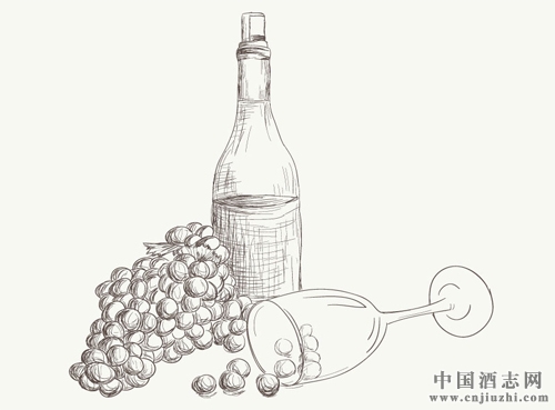深色葡萄酒有哪些?盤點深色葡萄品種
