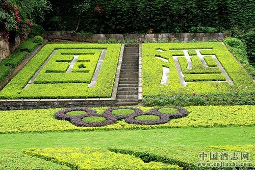 茅臺袁仁國:打造“綠色茅臺” 堅(jiān)持“以酒惠民”