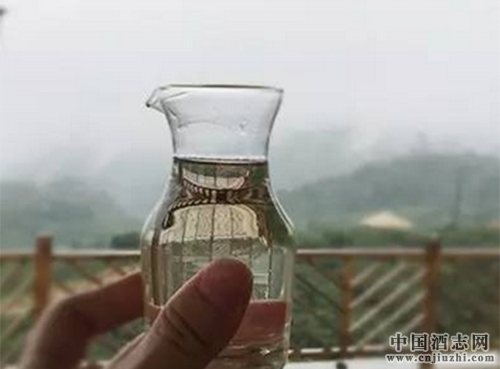 ͶȰ׾