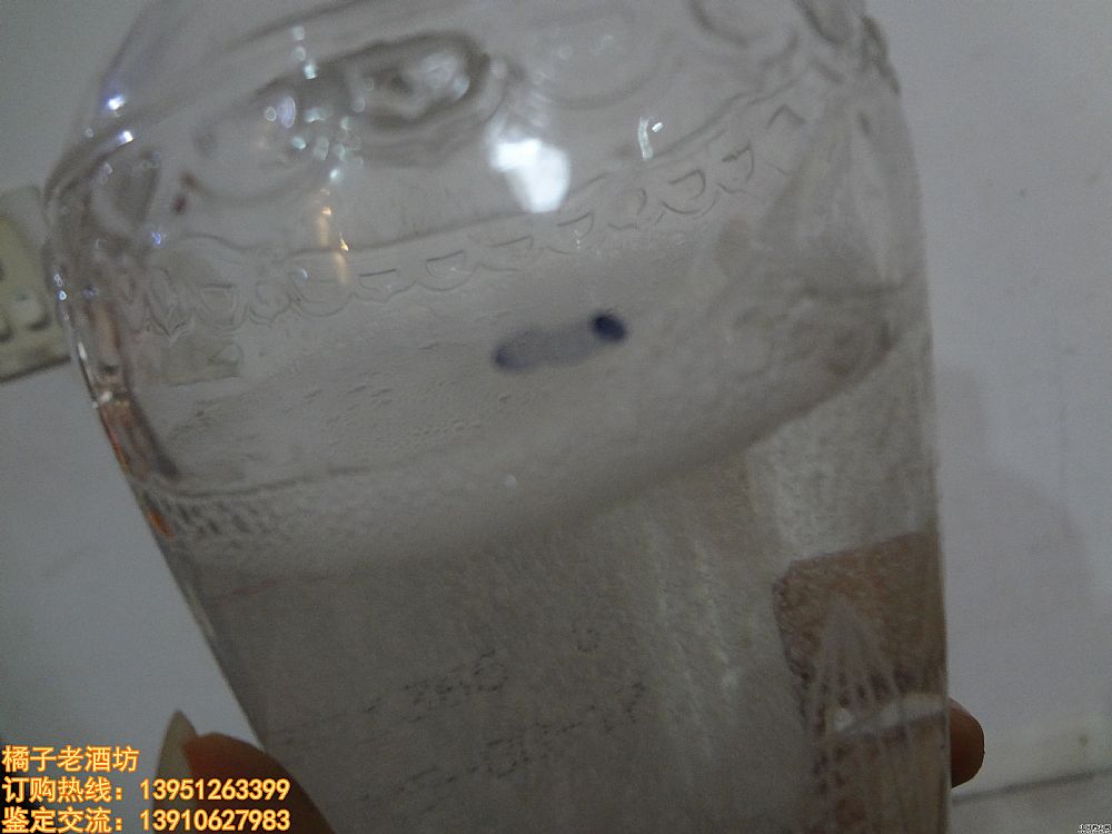 2005 56 ZҺϾһ